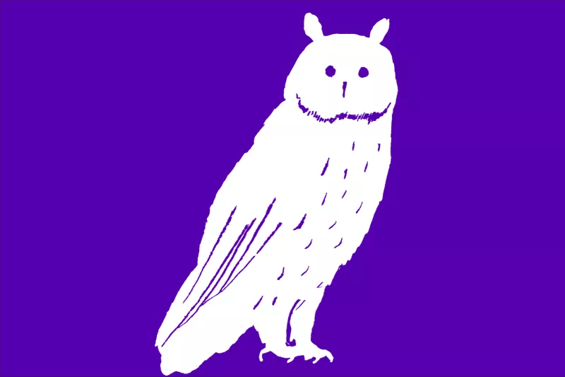Image de hibou