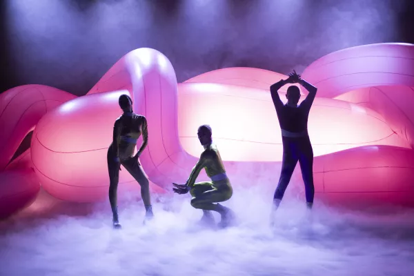 Photo du spectacle Pink Machine