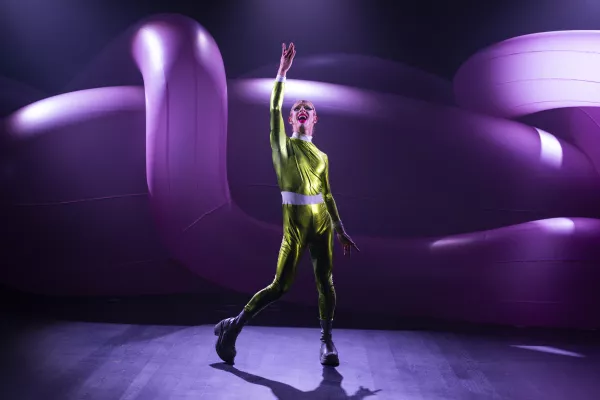 Photo du spectacle Pink Machine