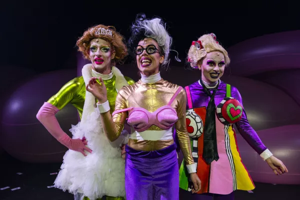 Photo du spectacle Pink Machine