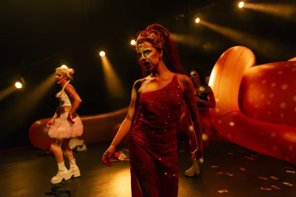 Photo du spectacle Pink Machine