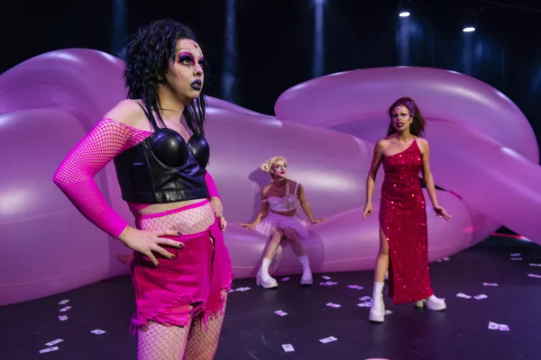 Photo du spectacle Pink Machine