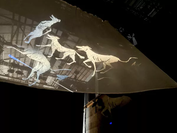 Photo du spectacle Le Paradoxe du chien