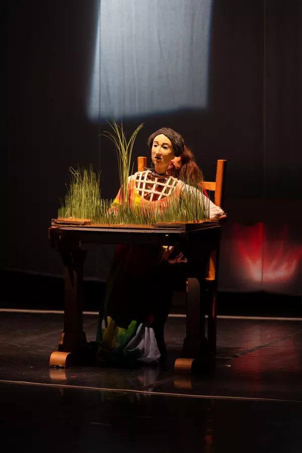 Photo du spectacle Laissez verdure
