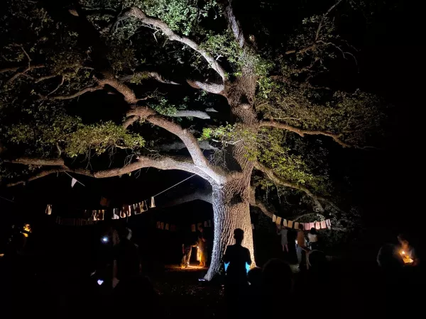 Photo du spectacle Laissez Verdure