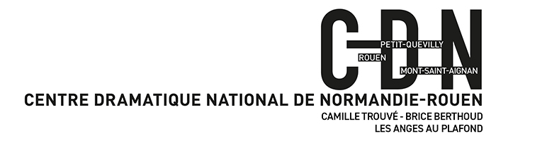 CDN de Normandie-Rouen logo