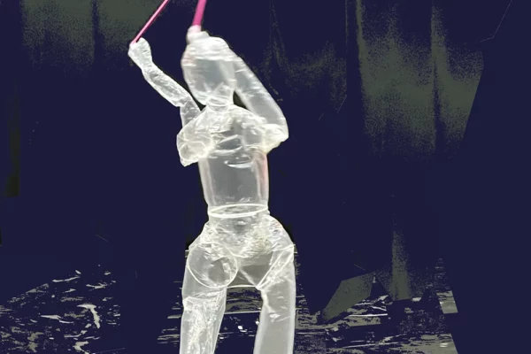 Photo du spectacle Nocturne Parade