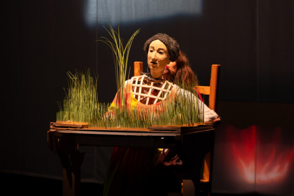 Photo du spectacle Laissez Verdure